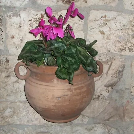Hotell San Giacomo Assisi